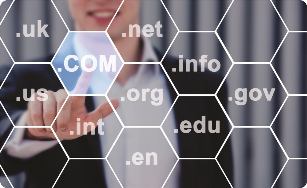 Domain Registration Services