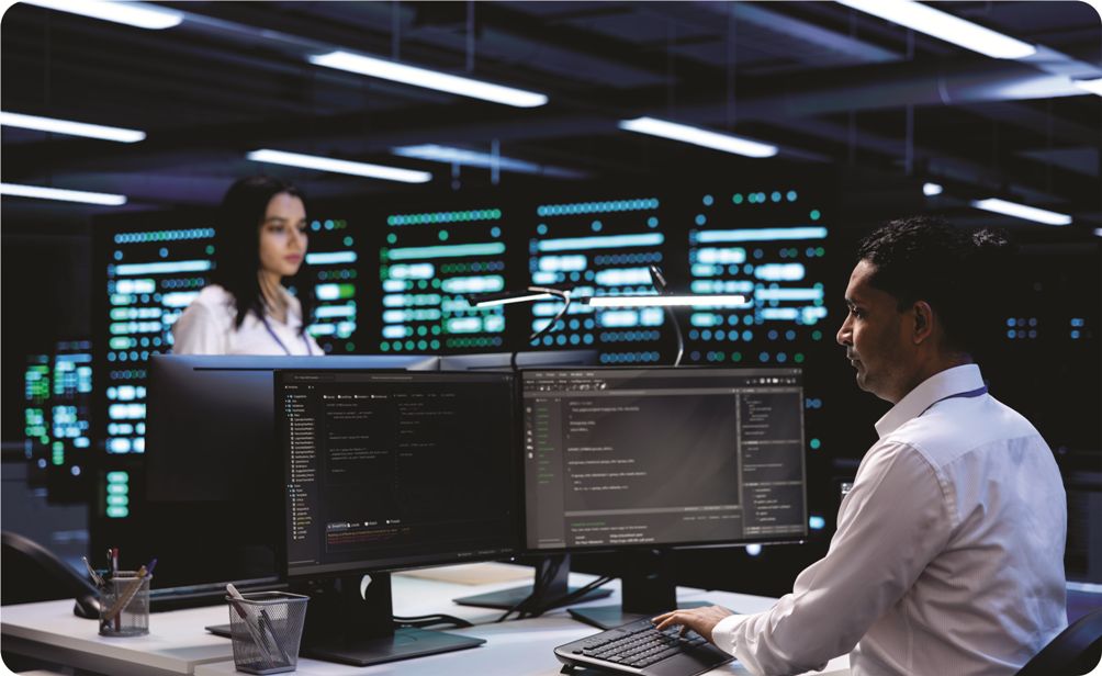 Software Setup Services